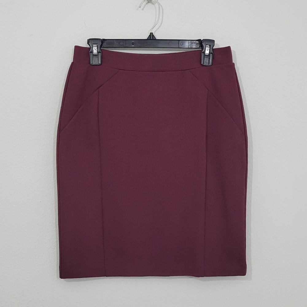 Mario Serrani Slimming Pencil Skirt